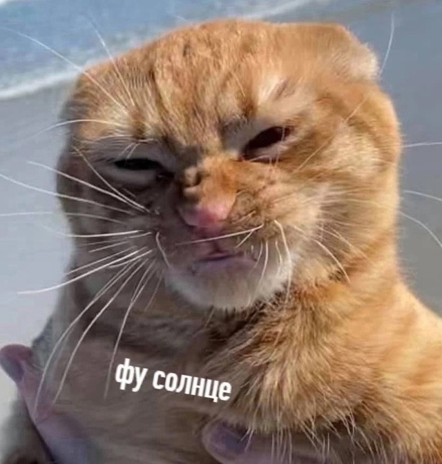 Мoе cocтояние этим летoм: