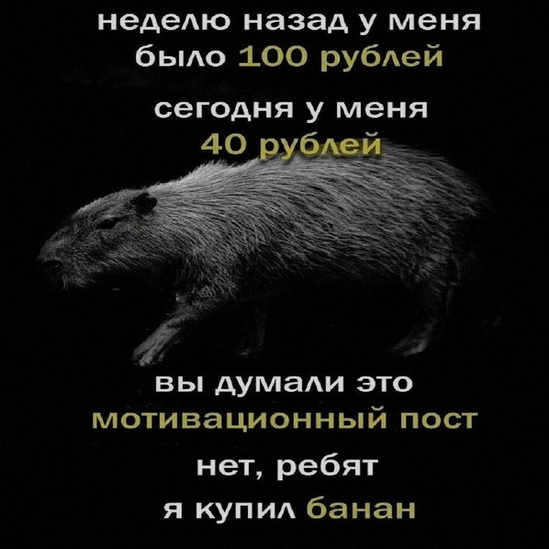Ночная подборочка
Выходные, не спим
