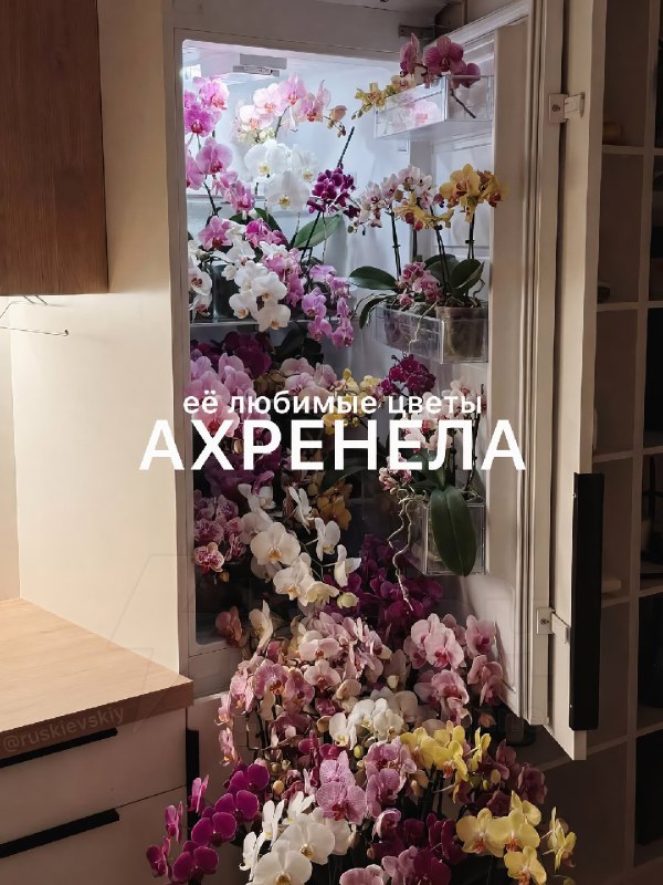 В интернете показали цветы, которые точно понравятся твоей тянке
Отправь ей, чтобы порадовать её