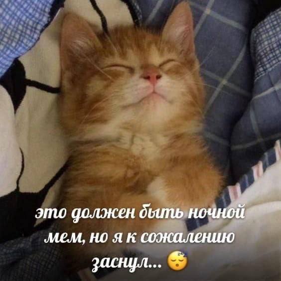 Утренняя подборочка