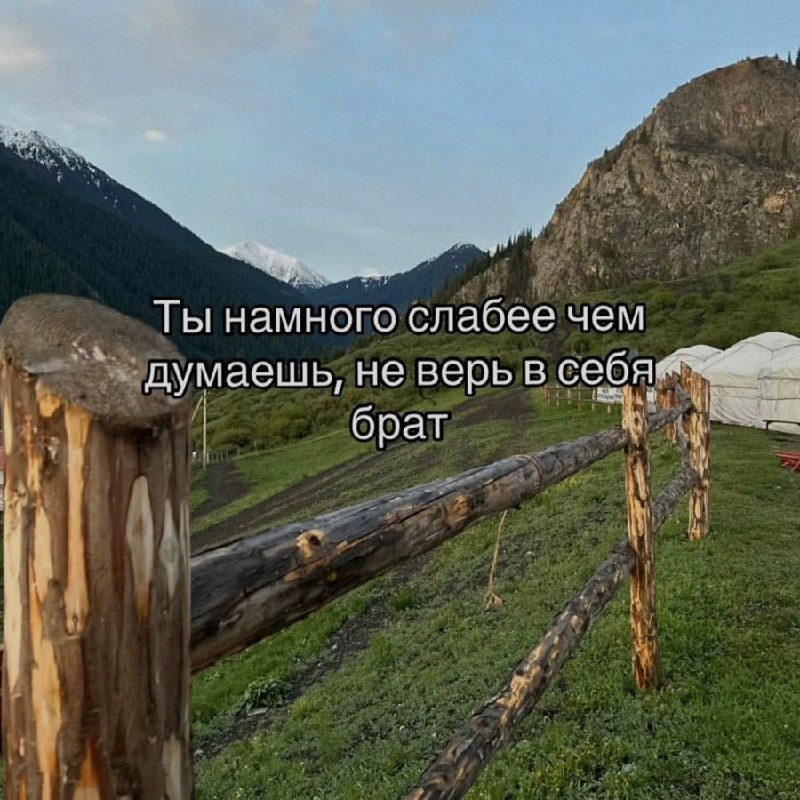 Ночная подборочка
Спать, режим