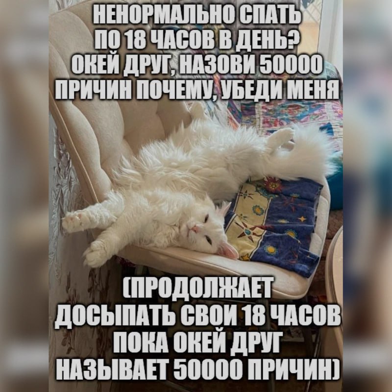 Ночная подборочка
Спать, режим