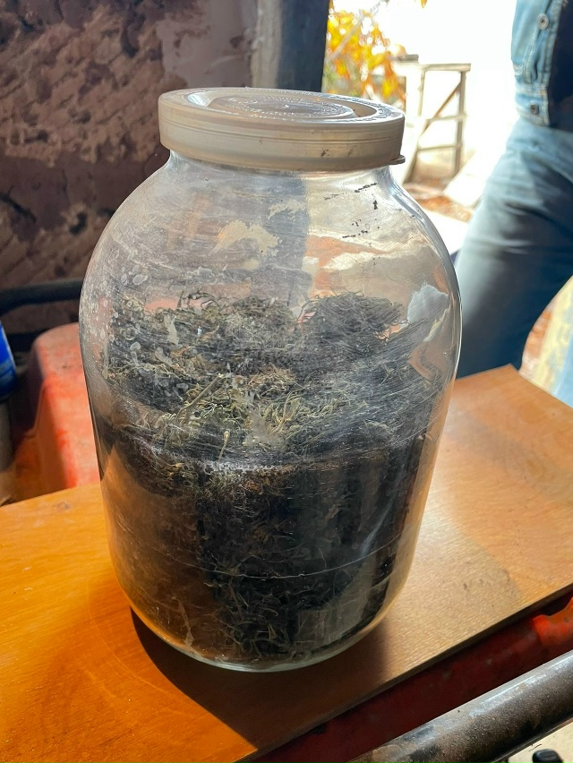🌿 В Сакском районе оперативники изъяли каннабис.
Сот?...