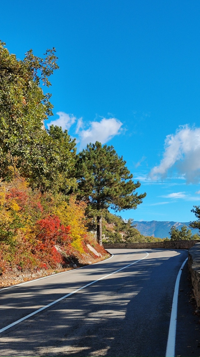 Как же это красиво! 😍
Настоящая золотая осень в Ялте ???...