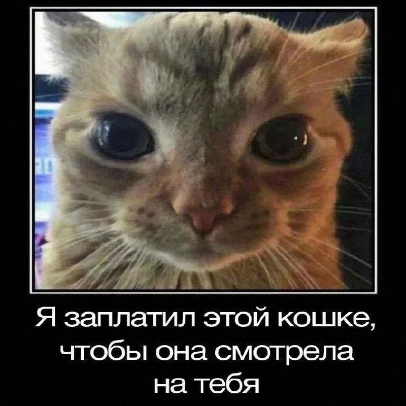 Утренняя подборочка