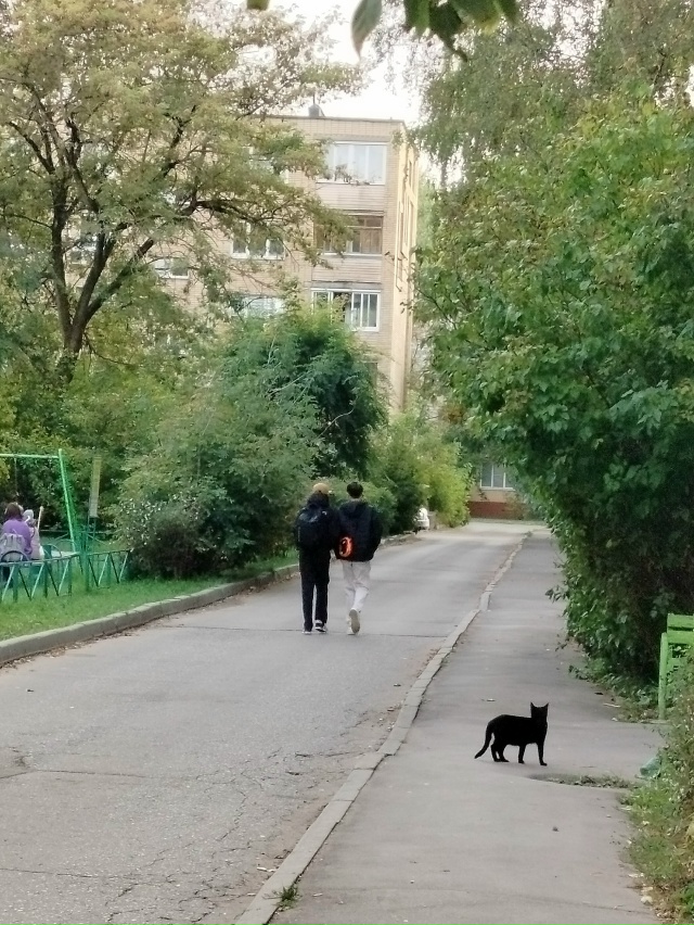 Уважаемые родители, если вы узнали своих детей, купите ...