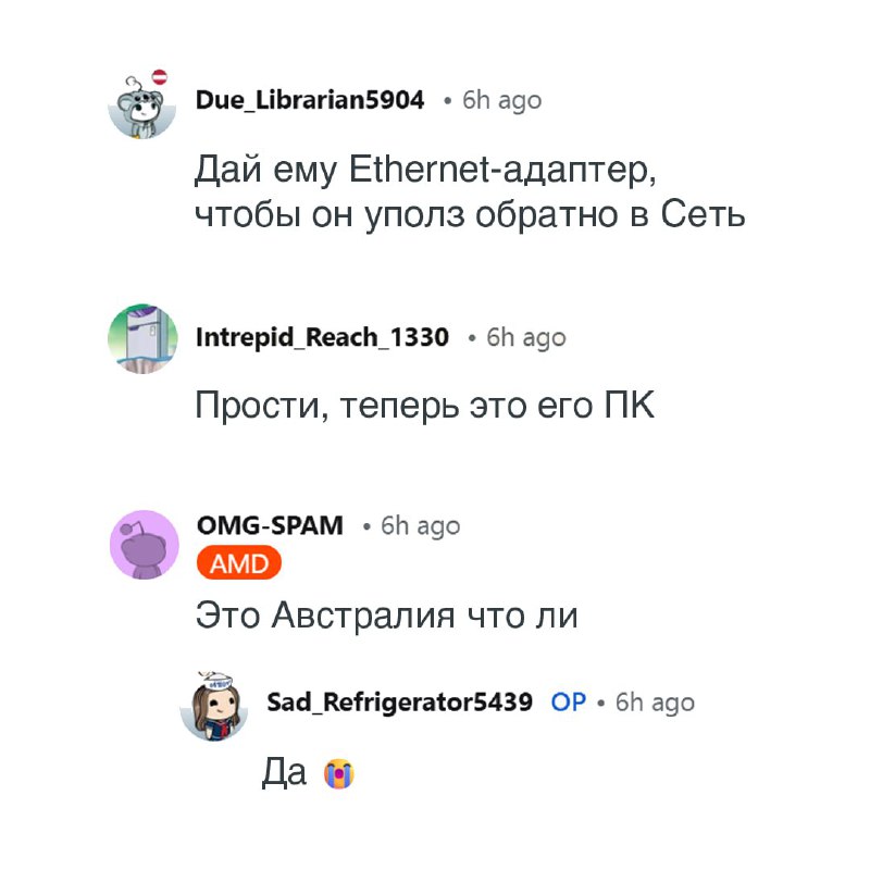 Парень рассказал, что в его системник залез паук-охотник — и пошёл за советами в интернет.
Он призн