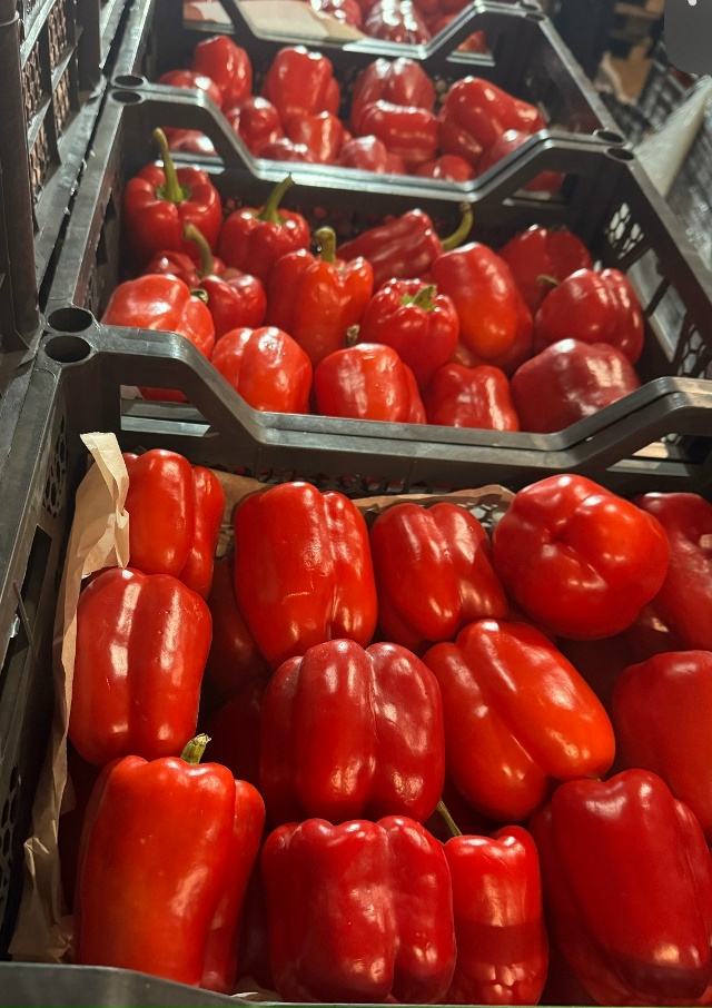 Добрый вечер, дорогие жители с. Красноусольск и Гафури?...