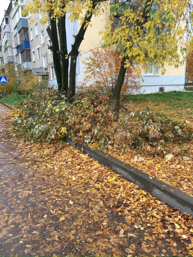 ⚡ Отреагируйте и устраните это безобразие!
Район улиц...