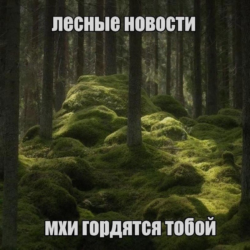 Ночная подборочка
Выходные, не спим