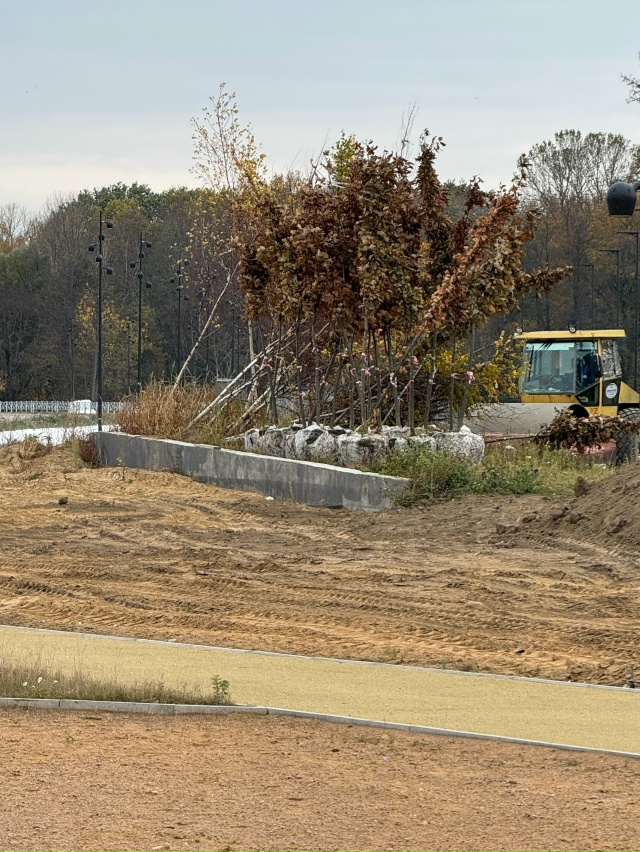 Вопрос, зачем везде в городе ставят эти ужасные, дешевы...