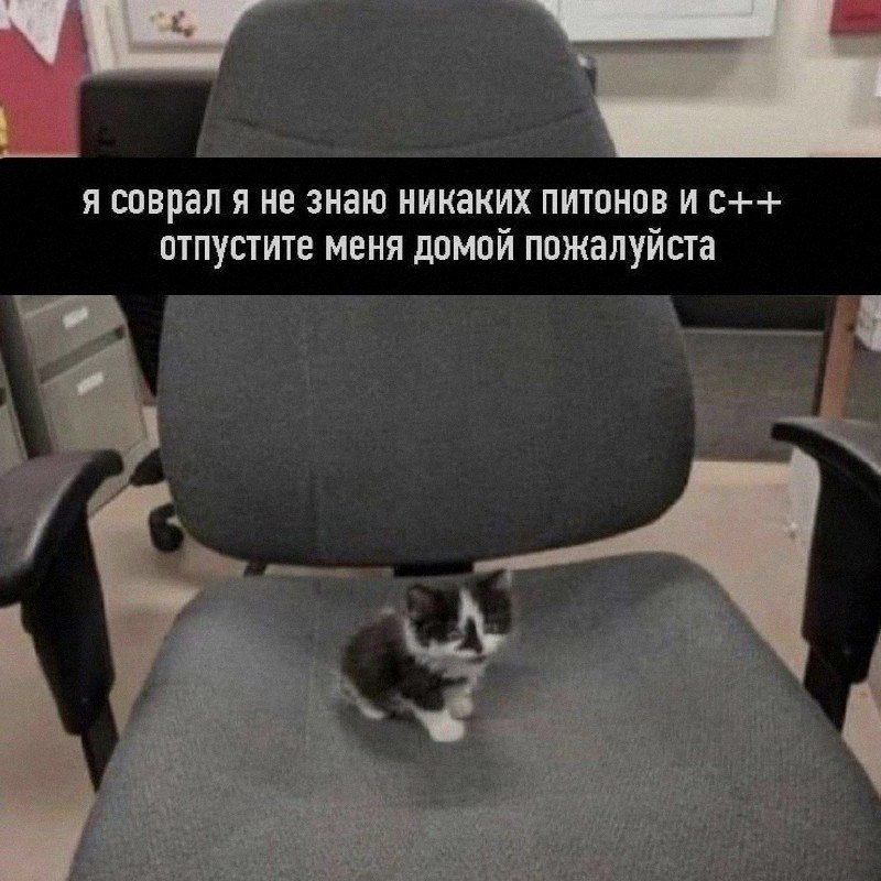 Ночная подборочка
Спать, режим