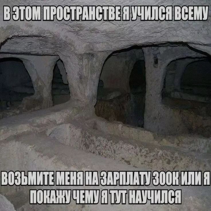 Ночная подборочка
Спать, режим
