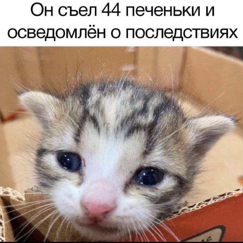 Утренняя подборочка