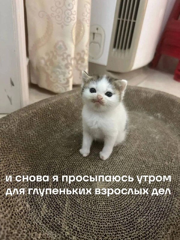 доброе утро