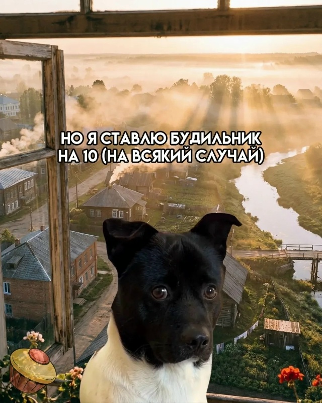 Я и мои сборы