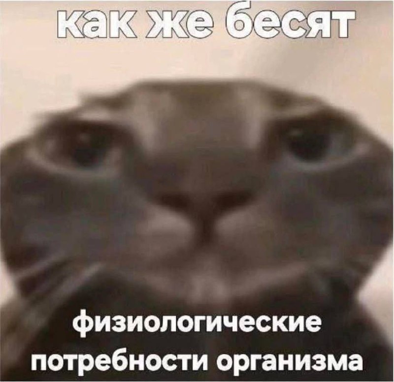 Утренняя подборочка