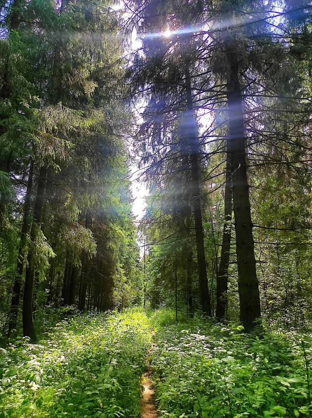 Доброй ночи, Никольск❤