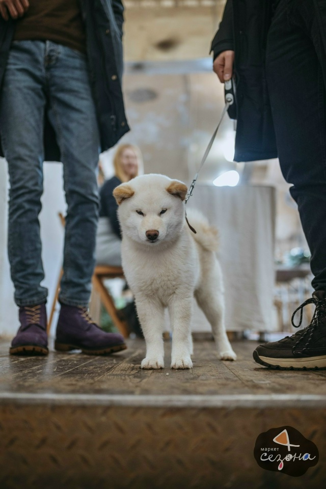 Мы всегда рады вам и вашим четвероногим любимцам на на?...