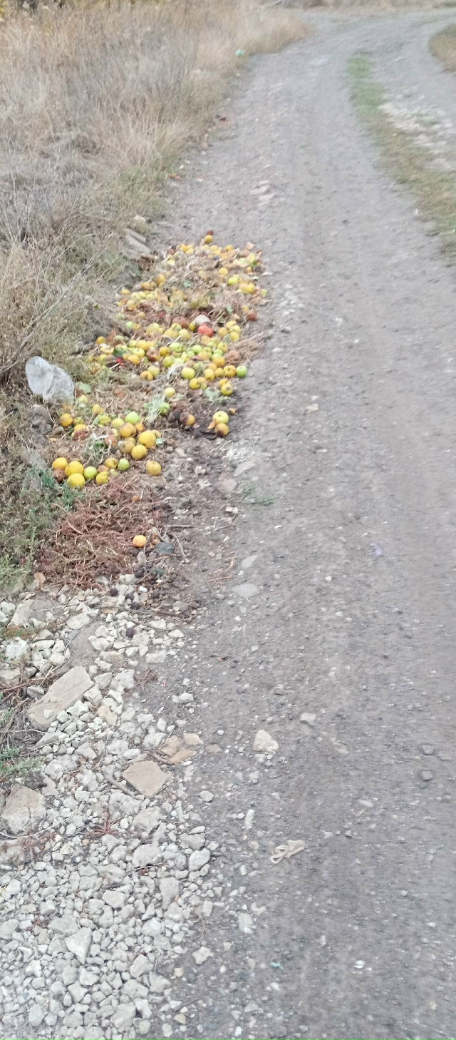 Админ выложите пожалуйста. Анон. Супружеская пара выки...