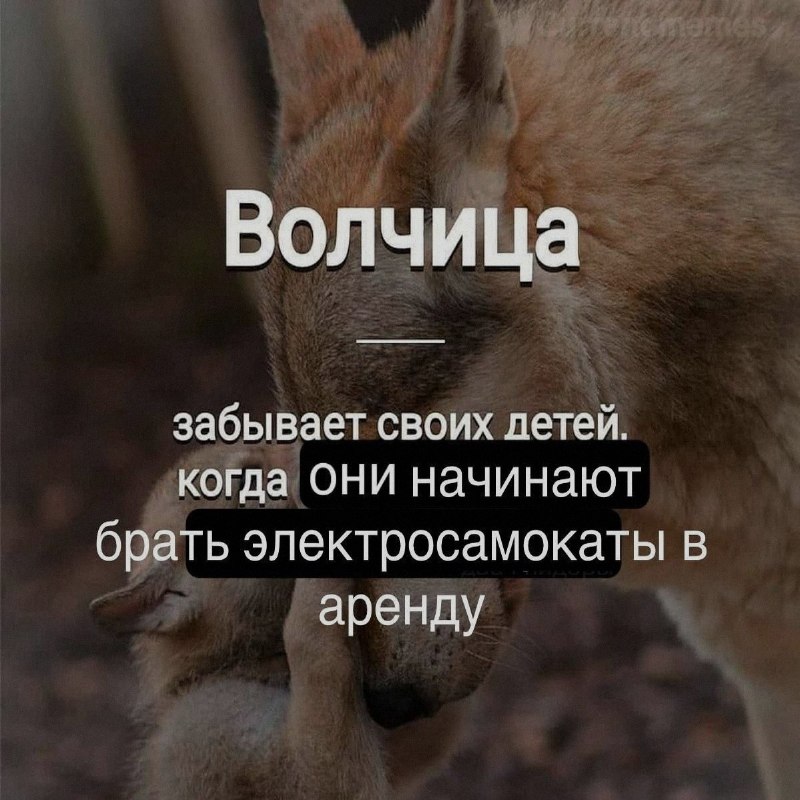 Ночная подборочка
Выходные, не спим