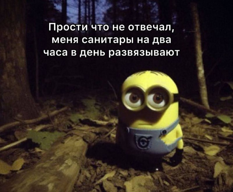 Утренняя подборочка