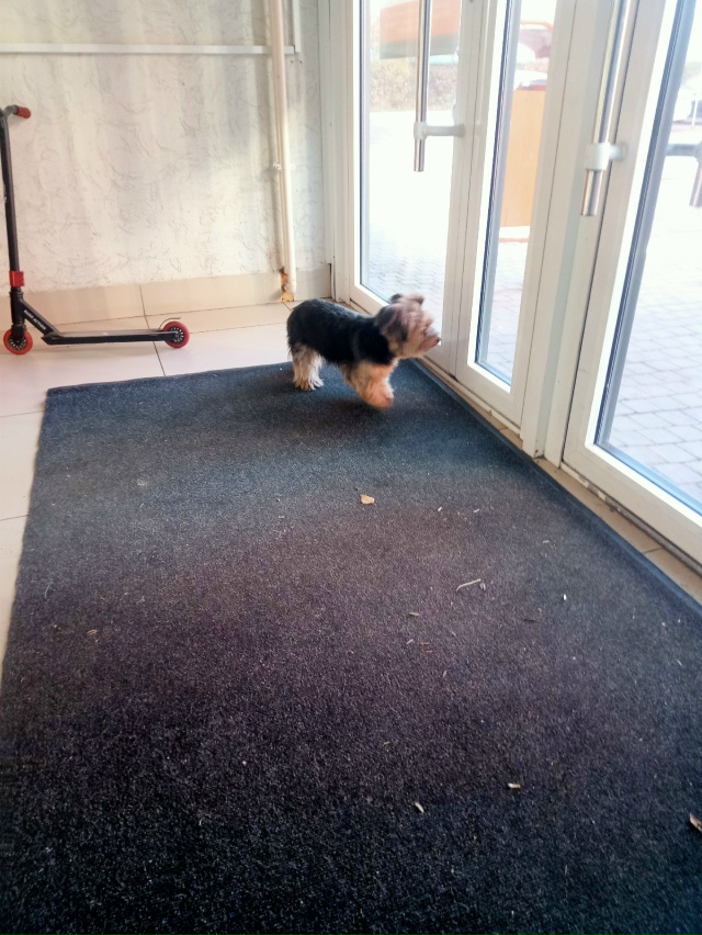 Бегает фикспрайс в оранже, кто потерял