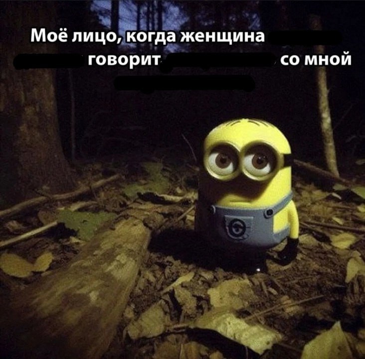 Утренняя подборочка