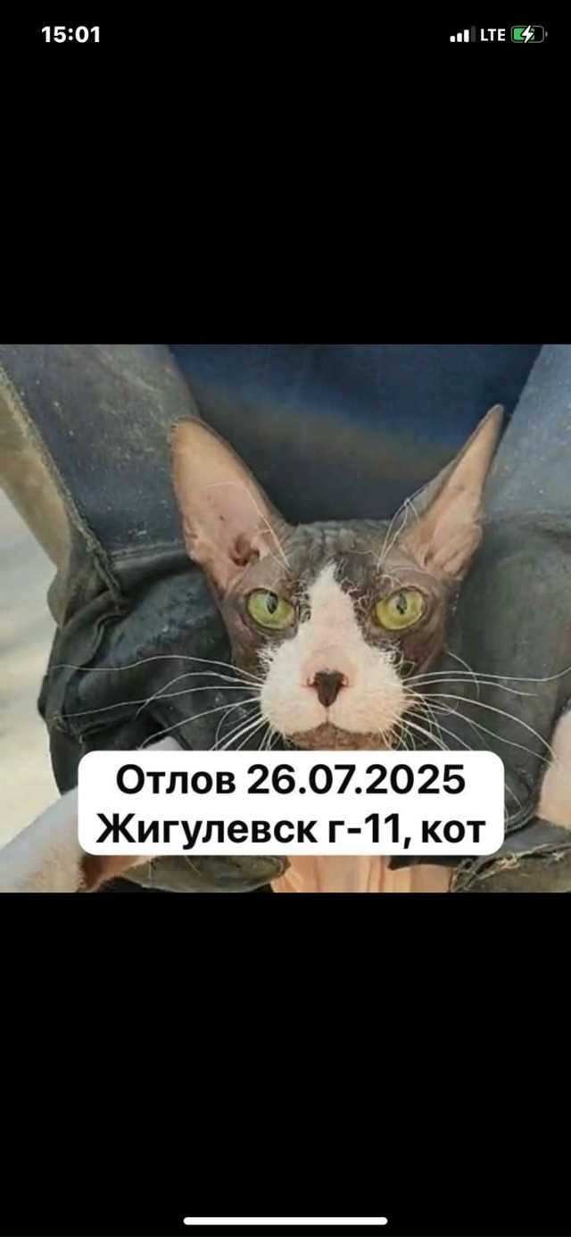 Город Жигулевск! Ваши любимчики в страшном месте- в отл...