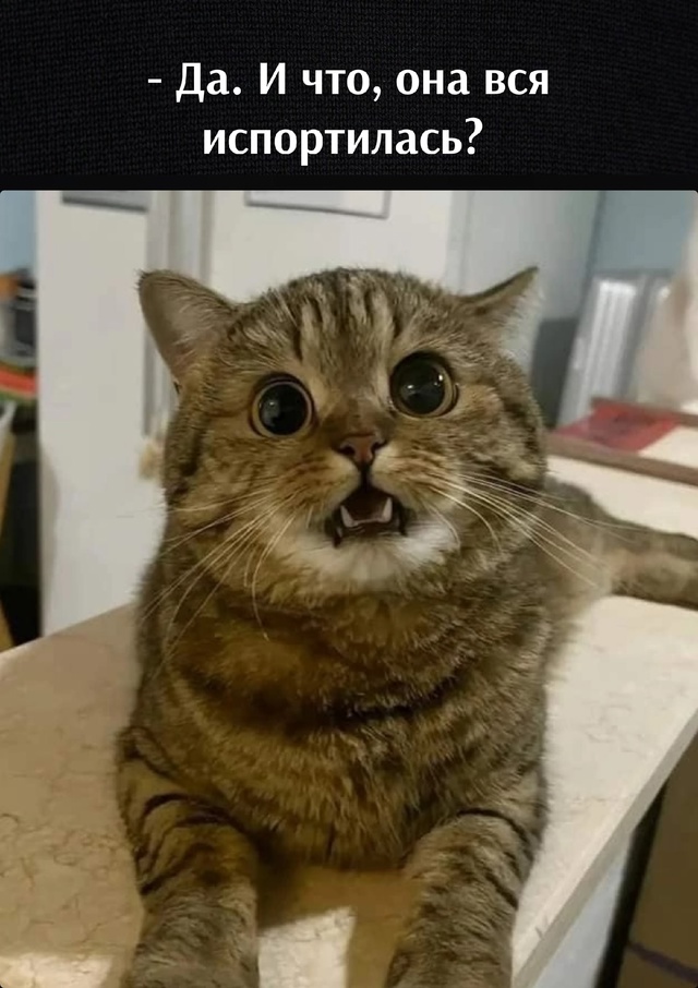 =»»