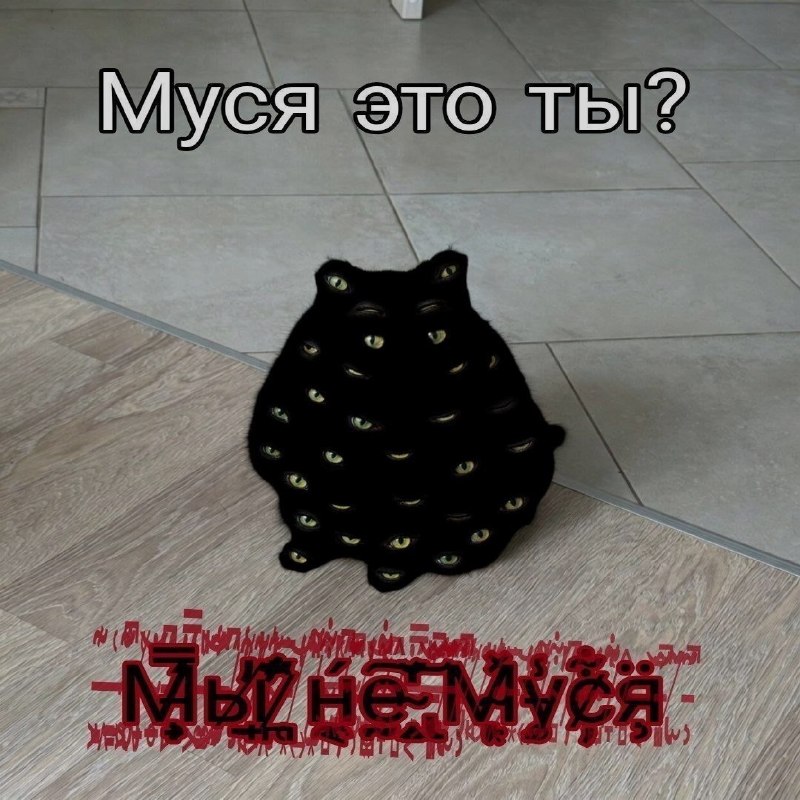 Ночная подборочка
Спать, режим