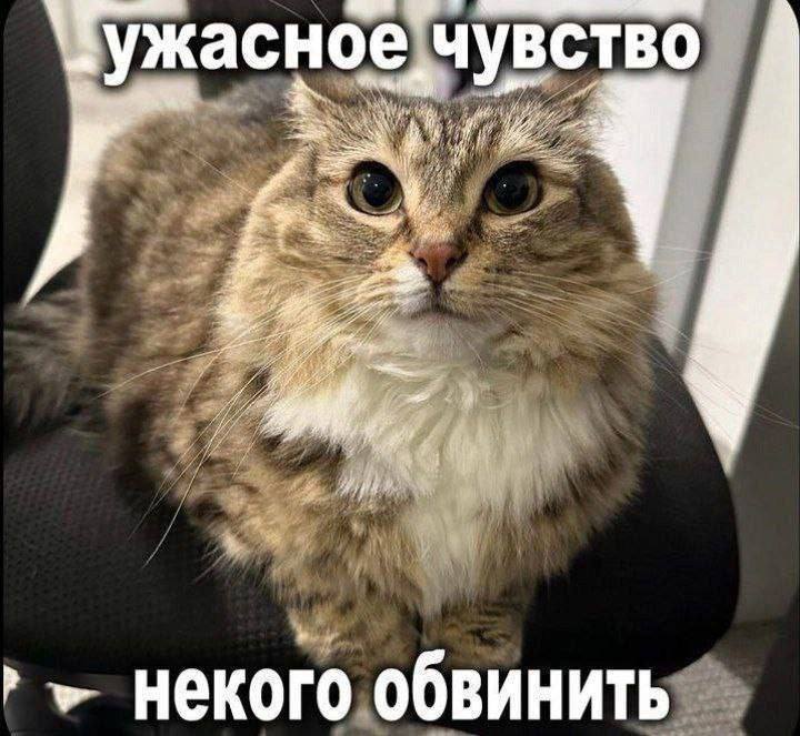 Утренняя подборочка