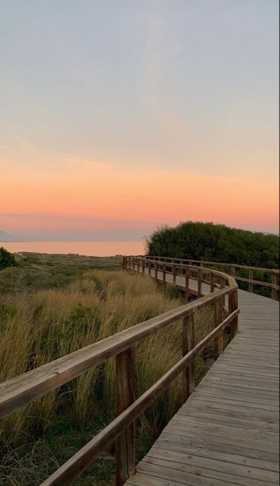 Я твердо решила обрести счастье, и это является самым в...