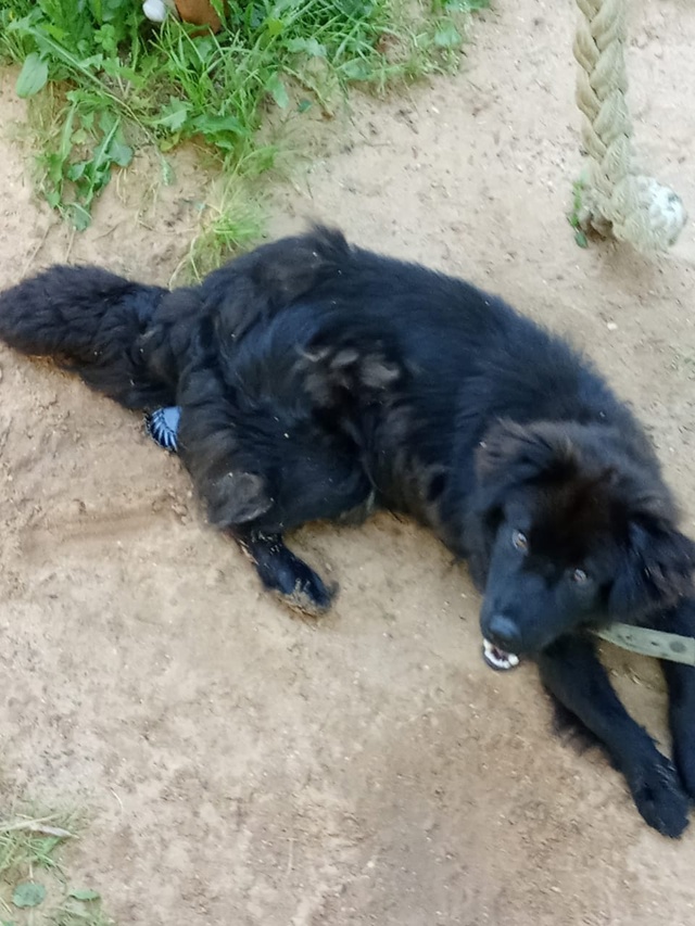Здравствуйте,админ выложи пожалуйста,на Гагарино райо...