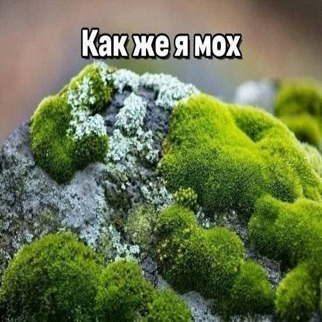 Утренняя подборочка