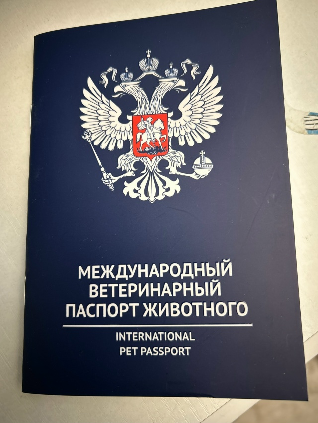 Вот такая красотка ищет дом❤️
Ей 8 месяцев.
Недавно с?...