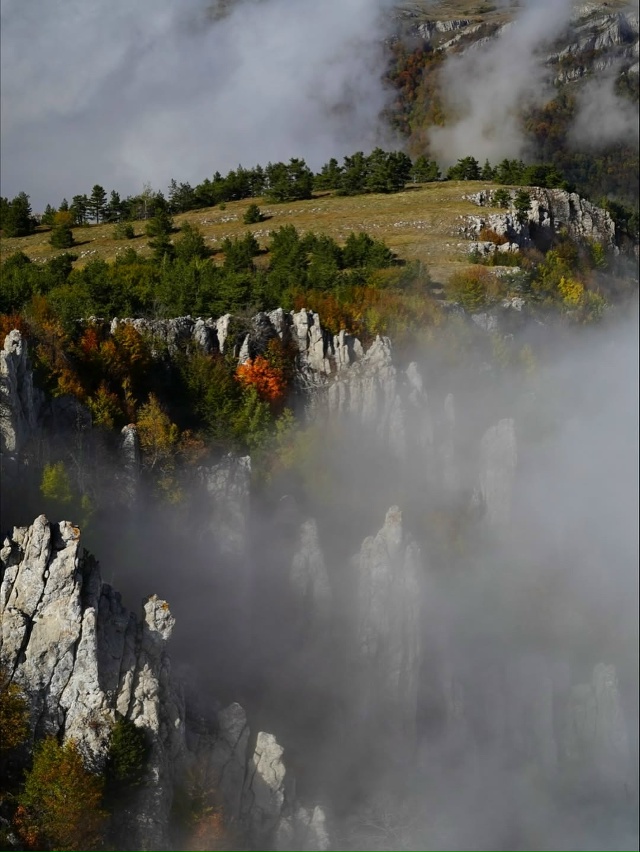 Перья Хапхала 🇷🇺