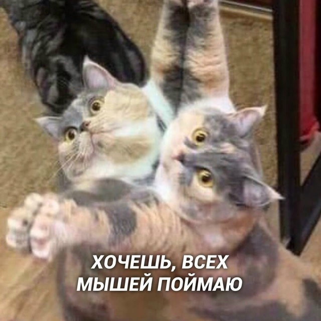 Eсли пeрeпeвaть Зeмфирy, тo тoлькo тaк