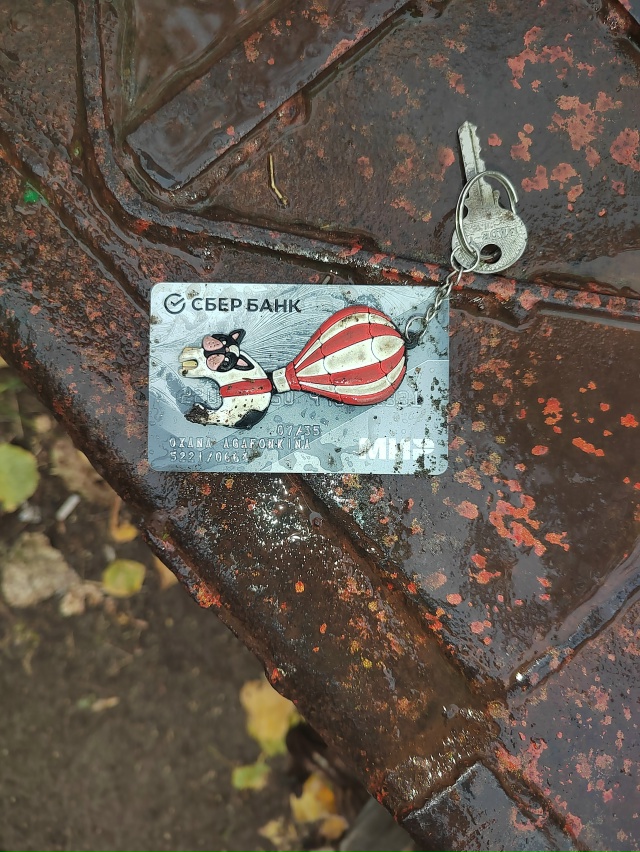 На пароме кто-то потерял