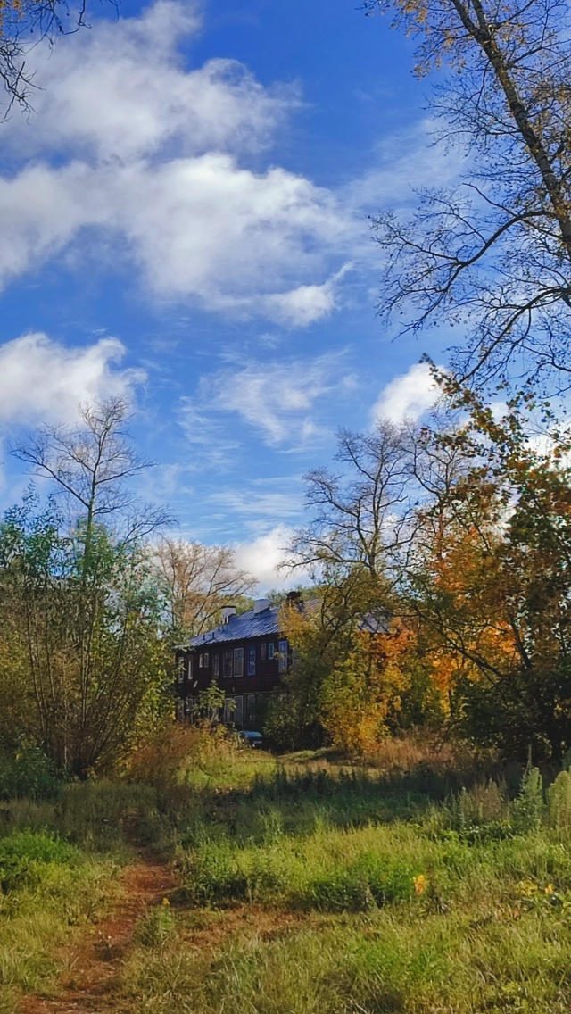 Наслаждаемся моментами осени...
Всем хорошего дня.
📸О?...