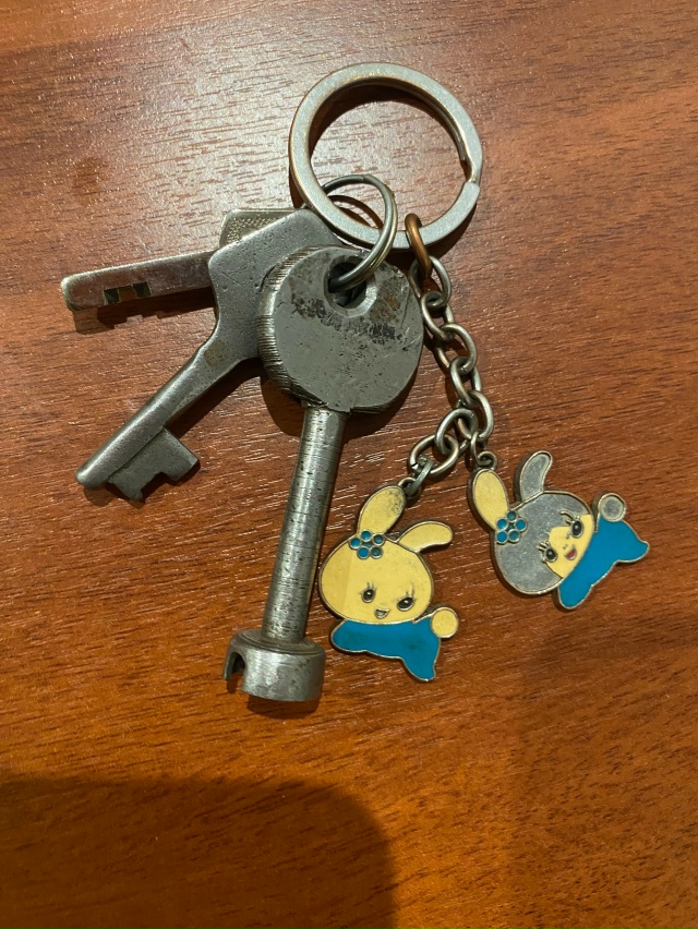 Может кто-то узнал свои ключи?