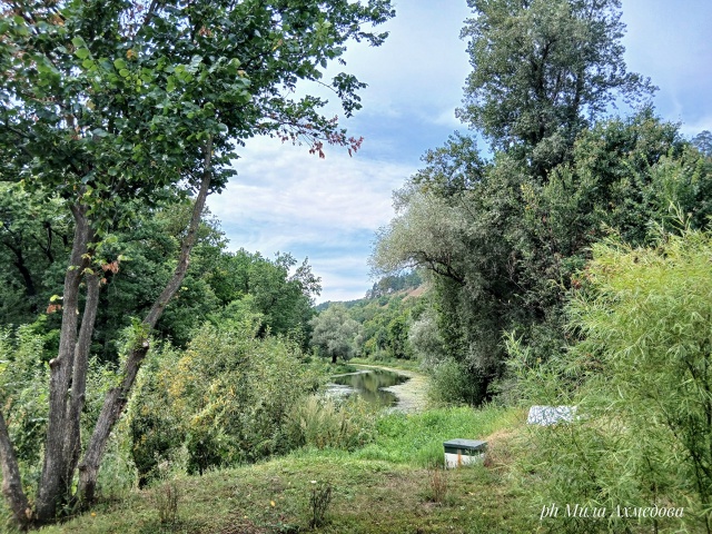 Оз. Шертово. Мастрюки. Самарская обл. 🏞