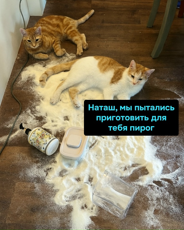 Лучше бы вы обоссали тапки, чем устроили кулинарный по?...