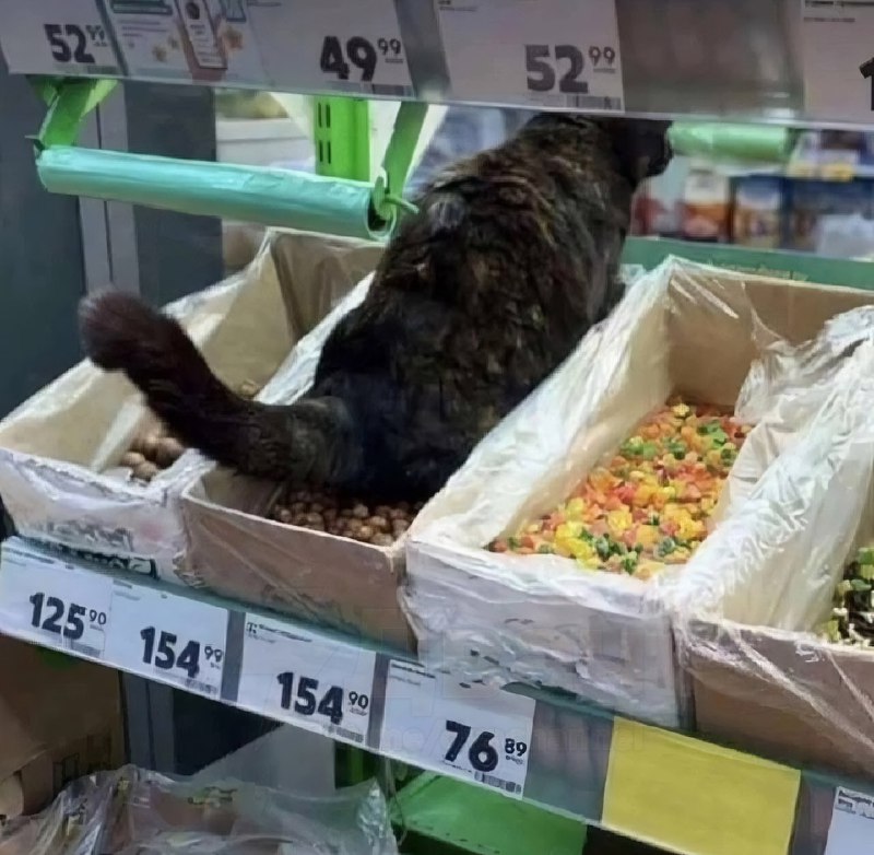 В одном из московских магазинов заметили работника, который заботливо оставлял покупателям неожиданн