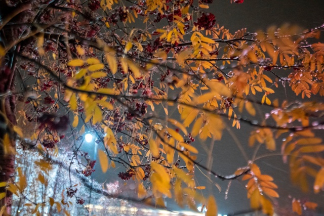 Тихие улицы Чусового, засыпанные первым снегом
Фото: С...