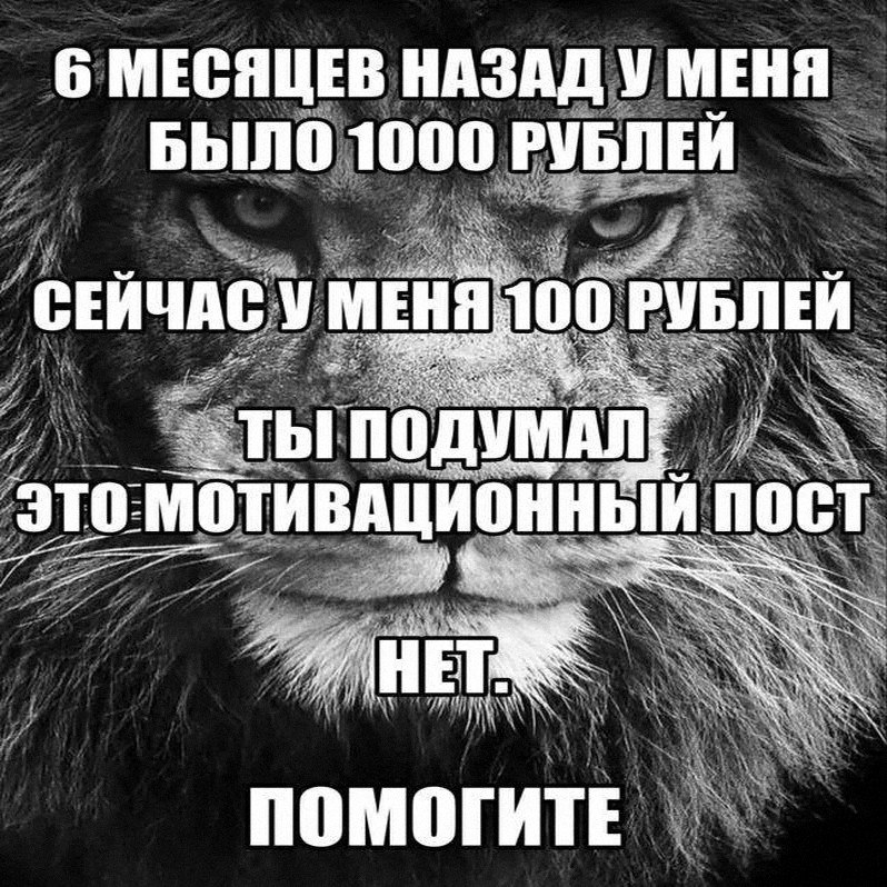 Утренняя подборочка