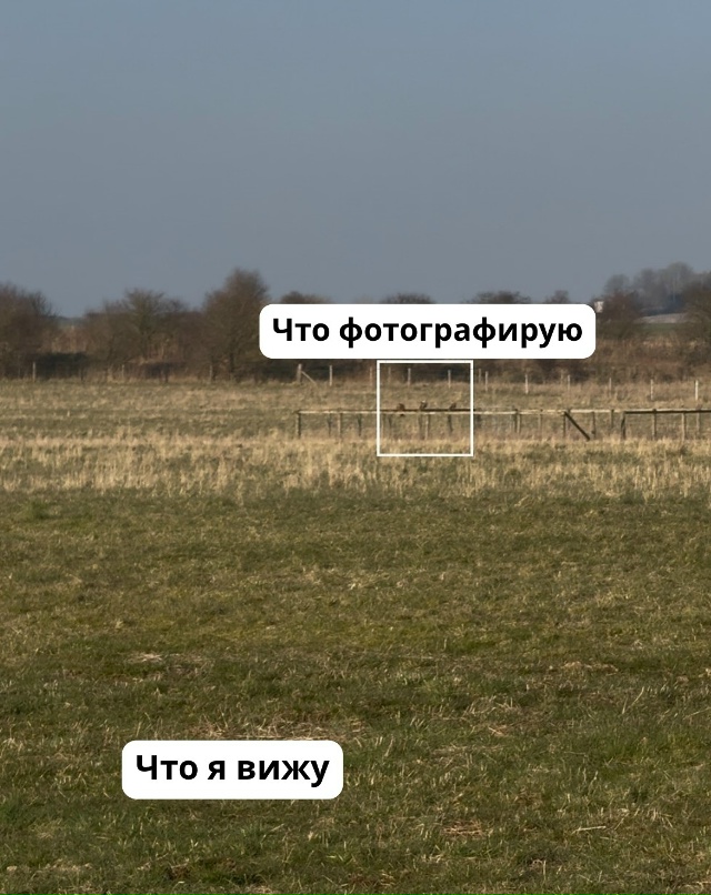 «Чтo я вижy / чтo я фoтoгpaфиpyю»
Потрясающе!