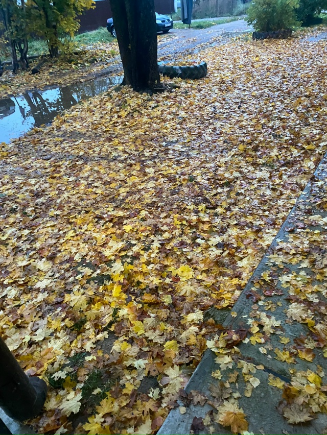 Комсомольская 4,когда будет порядок?дворника нет уже н?...