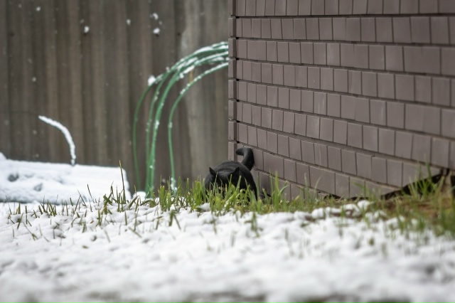 ❄ Привет зима, мы ждали!
Традиционно встретили первый ...