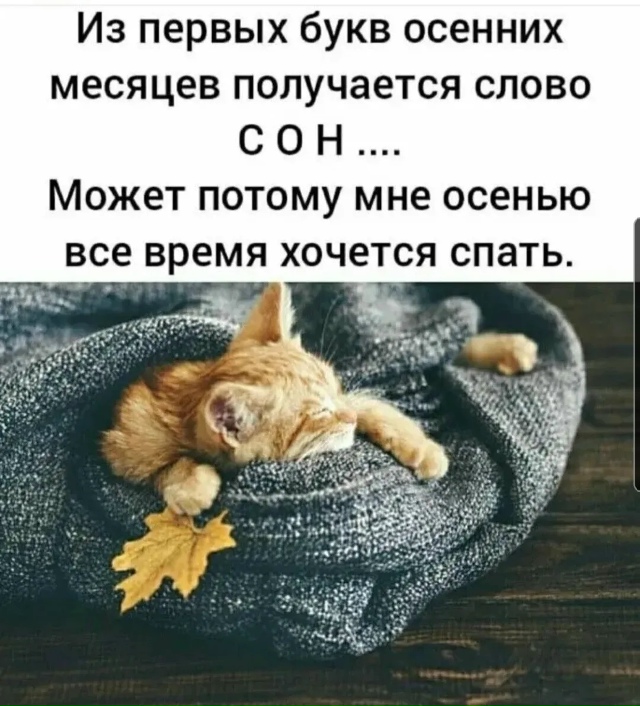 Ночной чат